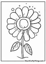 Daisy Coloring Page Friendly And Helpful Pages sketch template
