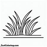 Grass Outline Coloring Pages  For Kids – Smart Creative And Fun sketch template