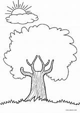Tree Trimmer Coloring Pages sketch template