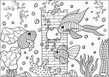 Tree fish In A aquarium  Fish Coloring Pages For Adults sketch template