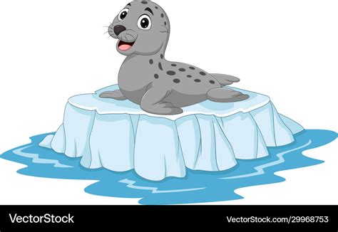 Cartoon seal on ice floe Royalty Free Vector Image