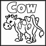 Cow Coloring Pages For Kids At GetDrawings  Free Download sketch template