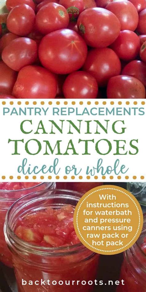 Canning Tomatoes: Two Easy Ways You Can Do It Today