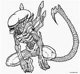 Alien Versus Predator Coloring Pages  At sketch template