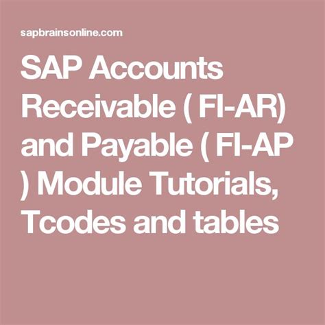 SAP Accounts Receivable ( FI-AR) and Payable ( FI-AP ) Module Tutorials ...