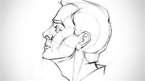 Proko - How to Draw the Head – Side View