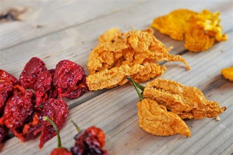 What to do With Dried Chili Peppers - Easy Ways to Use | Pepper Geek