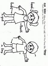 Body Parts Coloring Pages Printables  TessecAyala sketch template