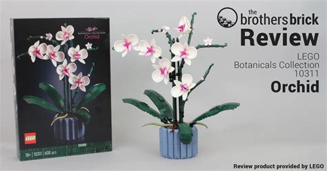 LEGO Botanical Collection 10311 Orchid - beauty comes in many shapes [Review] - The Brothers ...