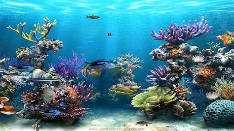 Animated Underwater Wallpaper - WallpaperSafari