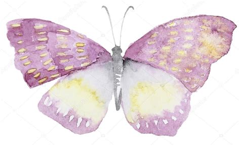 Abstract Watercolor hand drawn butterfly ⬇ Stock Photo, Image by ...