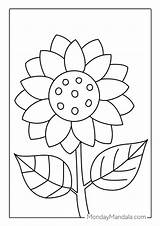 Easy Sunflower Coloring Pages sketch template