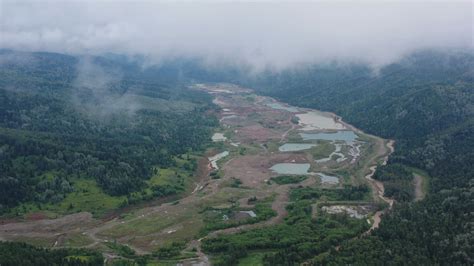 Alluvial gold mining is destroying the environment of the Shorians, a Siberian indigenous people