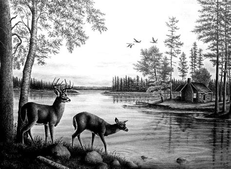 deers near the lake 50x70 landscape drawing by yilmazgunes93 on ...