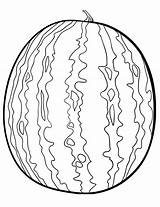 A Watermelon coloring Page  Download Print Or Color Online For Free sketch template