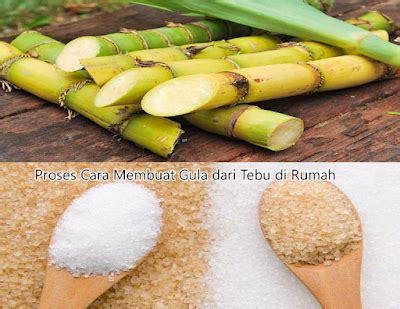 Tahapan Pembuatan Gula Pasir Dengan Tebu - BIOLOGI KEHIDUPAN