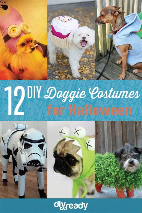 DIY Dog Costume Ideas DIY Projects Craft Ideas & How To’s for Home ...