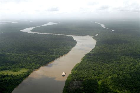 Amazon River Cruise with G Adventures