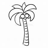 Coconut Tree Coloring Stock Illustrations – 436  sketch template