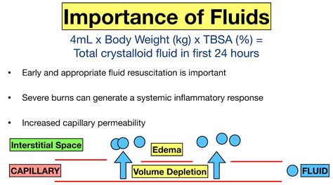 Parkland Formula for Burns: Pediatric and Adult Examples, Calculator, Practice Questions — EZmed