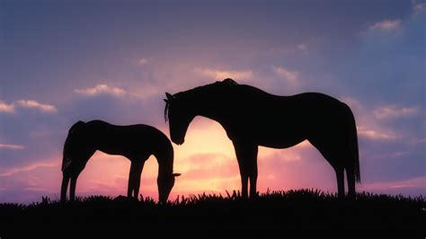 Serene Silhouettes: Horses at Sunset - 4K Ultra HD Wallpaper