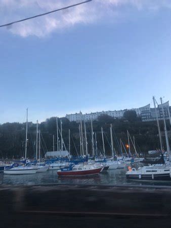 Ilfracombe Harbour - 2019 All You Need to Know BEFORE You Go (with Photos) - TripAdvisor