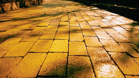 "Yellow Brick Road" Discovered In Pacific Ocean During First-Ever ...