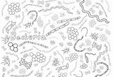 Free Bacteria Coloring Pages sketch template