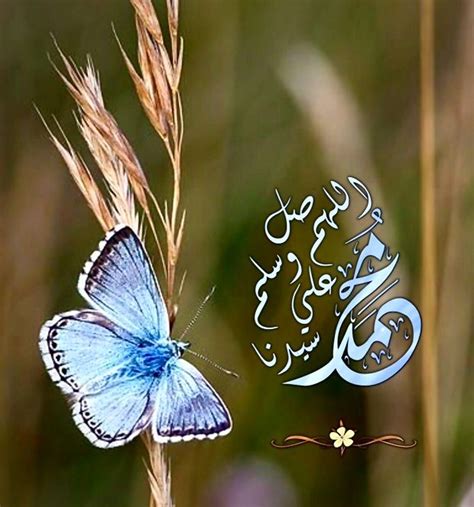 Pin by just_me on Our beloved Prophet Muhammad | Flowers, Plants, Dandelion