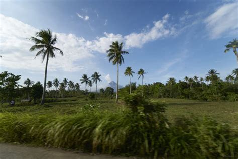 Donsol Philippines – My Scuba Photos