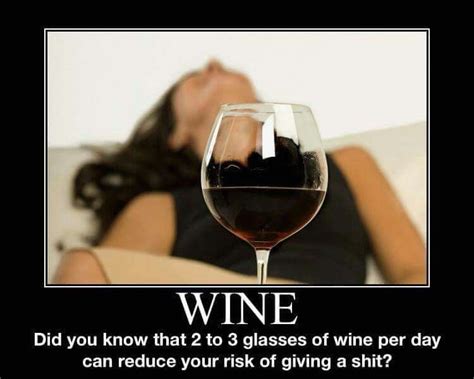 Pin by Vicky DV on for the love of wine | Wine jokes, Wine meme, Wine humor