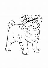 Pug Coloring Pages  ColoringDraftcom sketch template