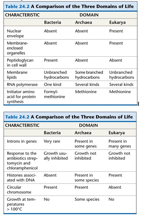 Solved Table 24.2 A Comparison of the Three Domains of Life | Chegg.com