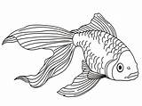 Free Printable Goldfish Coloring Pages For Kids sketch template