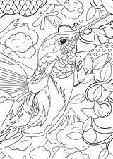 Animal Coloring Pages For Adults  Best Kids sketch template