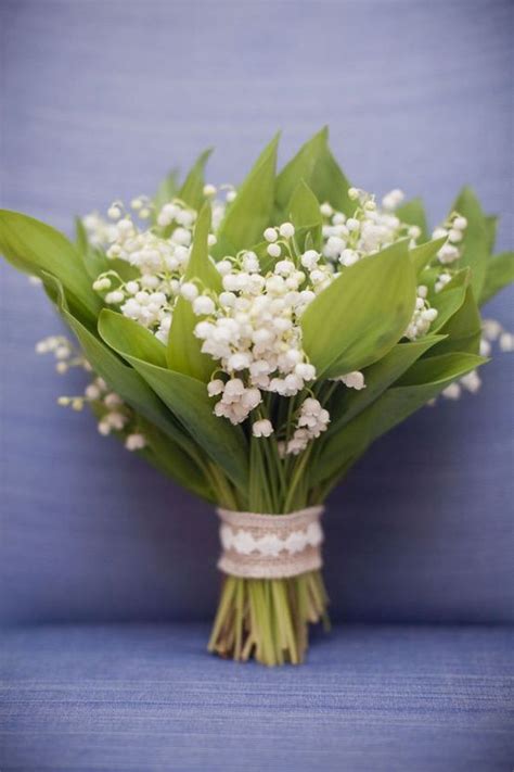 Lily of the Valley - pure simplicity. love it! | Lily of the valley bouquet, Beautiful bouquet ...