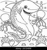 Leopard Shark Coloring Page For Kids Stock Vector Image & Art  Alamy sketch template