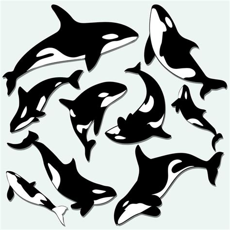 Whale silhouette design vector. Orca whale silhouette cartoon vector ...