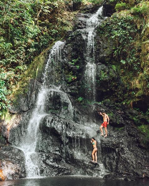 Nestled in the Belizean jungle, Cockscomb Basin Wildlife Sanctuary is a ...