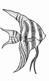 Angel Fish Coloring Pages sketch template