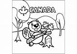 Canada Beaver trimming A tree Trunk  Tree Coloring Pages sketch template