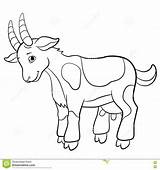 Boer Goat Coloring Pages At GetColoringscom  Free Printable Colorings sketch template