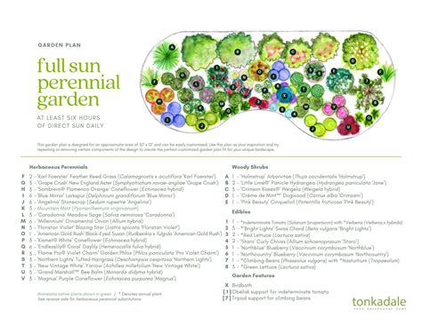 Perennial Garden Plans - Tonkadale