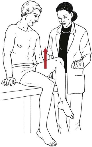 Testing the Muscles of the Lower Extremity | Musculoskeletal Key