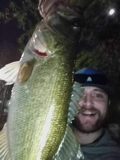 Caught a bass out of the Riverwalk last night. : r/sanantonio