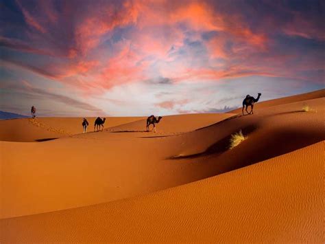 Morocco Sahara Tours: The Ultimate Experience in Morocco – Morocco ...