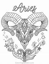 Zodiac Coloring Pages Free sketch template