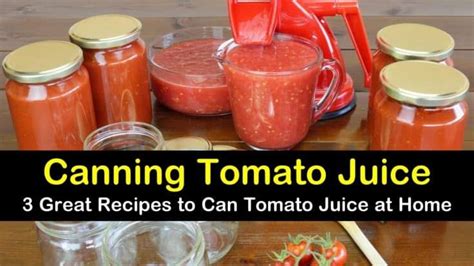 3 Great Recipes to Can Tomato Juice at Home | Canned tomato juice, Tomato juice recipes, Canning ...