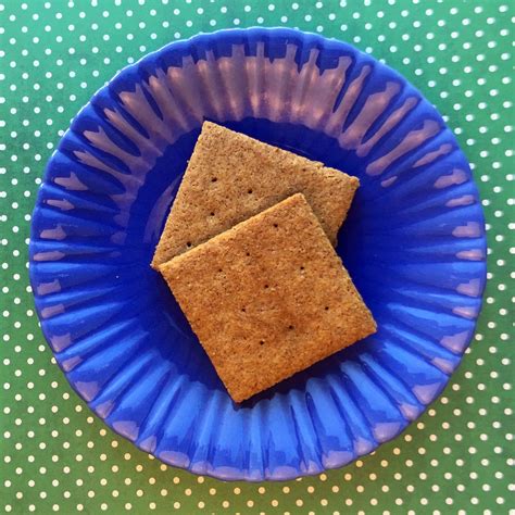 Low Carb Graham Crackers | Graham cracker recipes, Cracker recipes, Low carb bread substitute