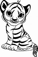Tiger Coloring Pages  ColoringBay sketch template